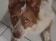 Paçoca
