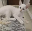 Aurora e Elsa