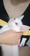 Aurora e Elsa