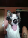 Klaus