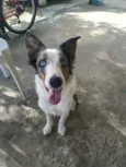 Klaus