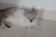 ..........