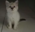..........