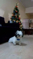Marley