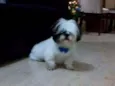 Marley