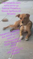 Não sei