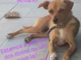 Não sei