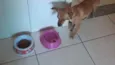 Não sei