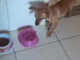 Não sei