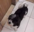 BILLY
