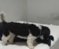 BILLY