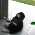 BILLY