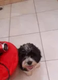 BILLY