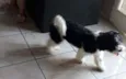 BILLY