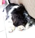 BILLY