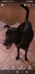 Belinha
