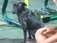 Não sabemos 