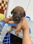 Mumu