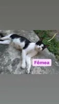 Sem nome