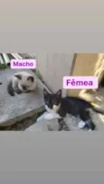Sem nome