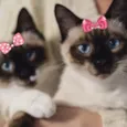 Frida e Dóris 