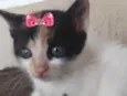 Júlia 