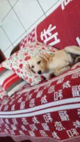 Oliver