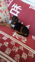 Kaite