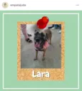 Lara