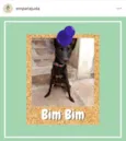 Bim Bim