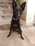 Bim Bim