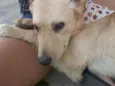Lindão