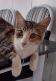 Maggie