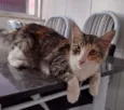 Maggie