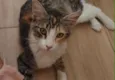 Maggie