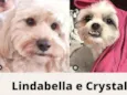 Lindabella e Crystal
