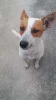 Betânia
