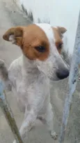 Betânia