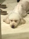 Mel