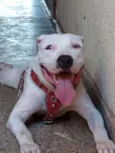 Rico