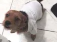 Marley