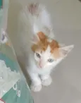 PAÇOCA