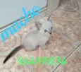 Théo