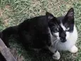 Bebê
