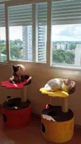 Leopoldo e Marta