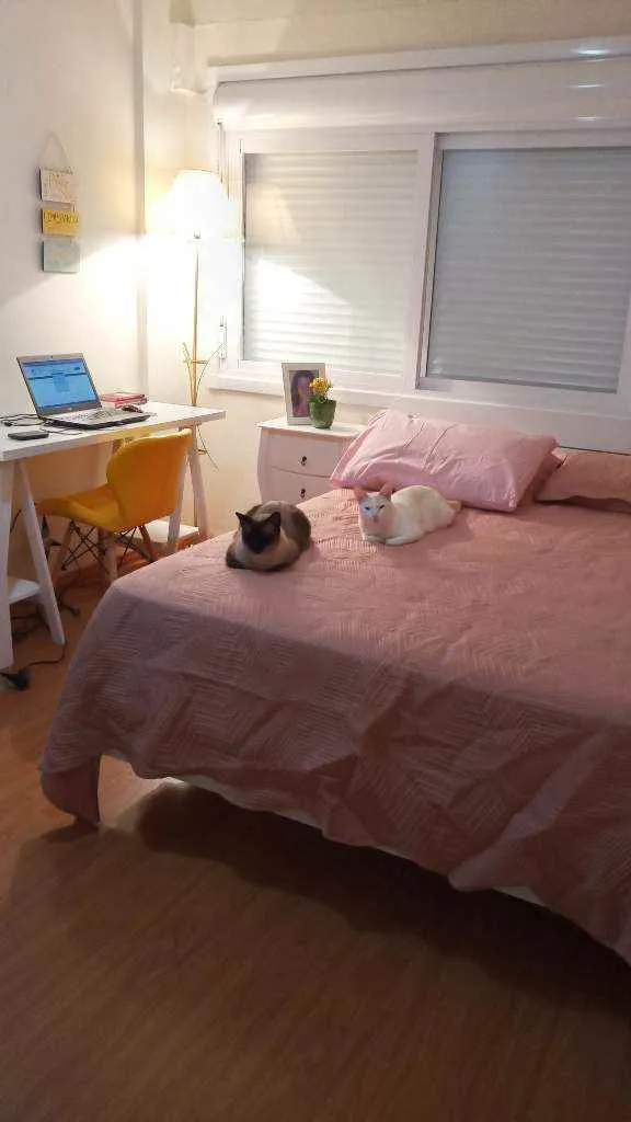 Gato ra a  idade 3 anos nome Leopoldo e Marta