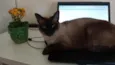 Leopoldo e Marta