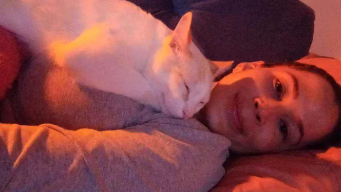 Gato ra a  idade 3 anos nome Leopoldo e Marta