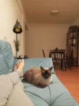Leopoldo e Marta