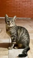 Kiki